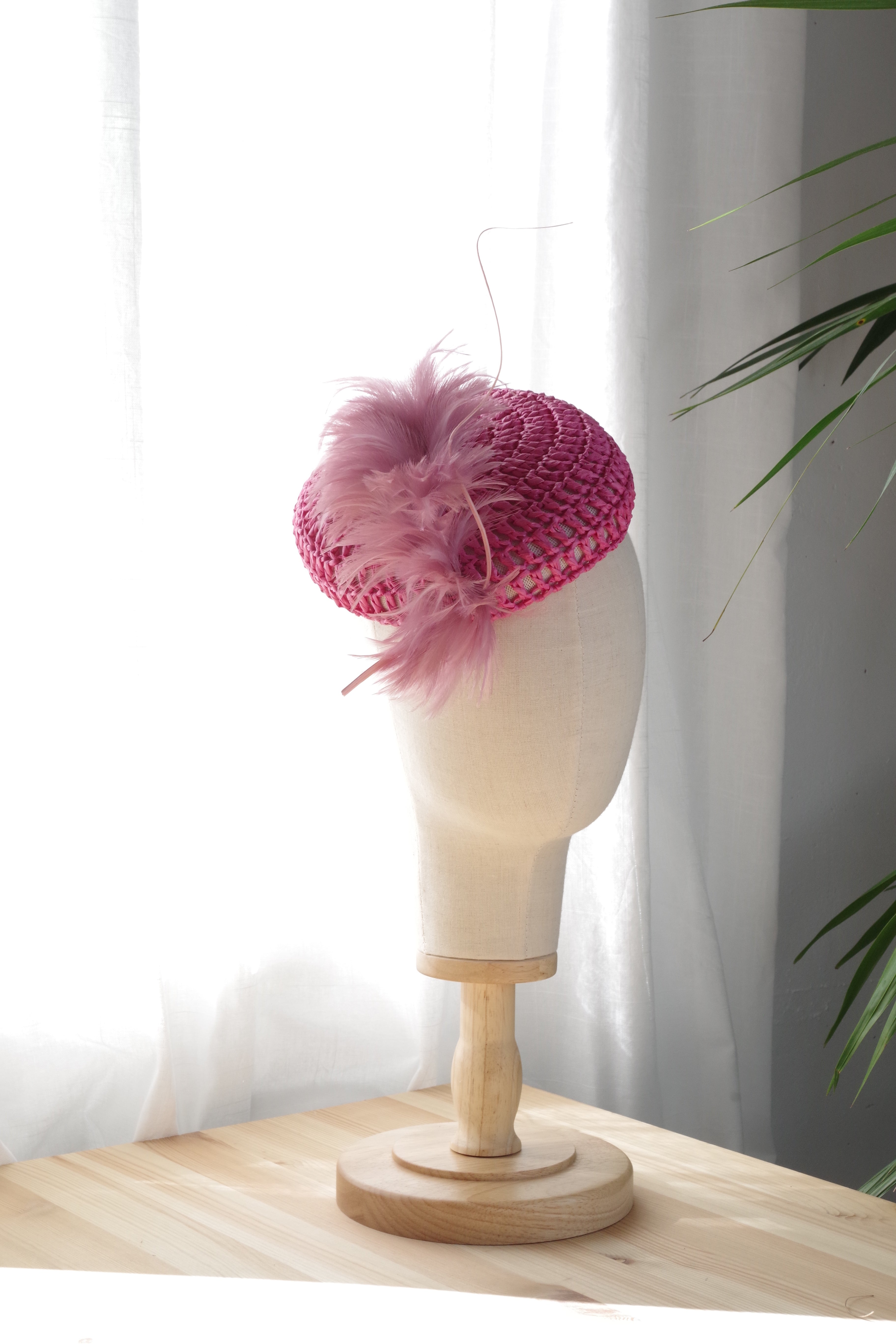 Feathered Muse