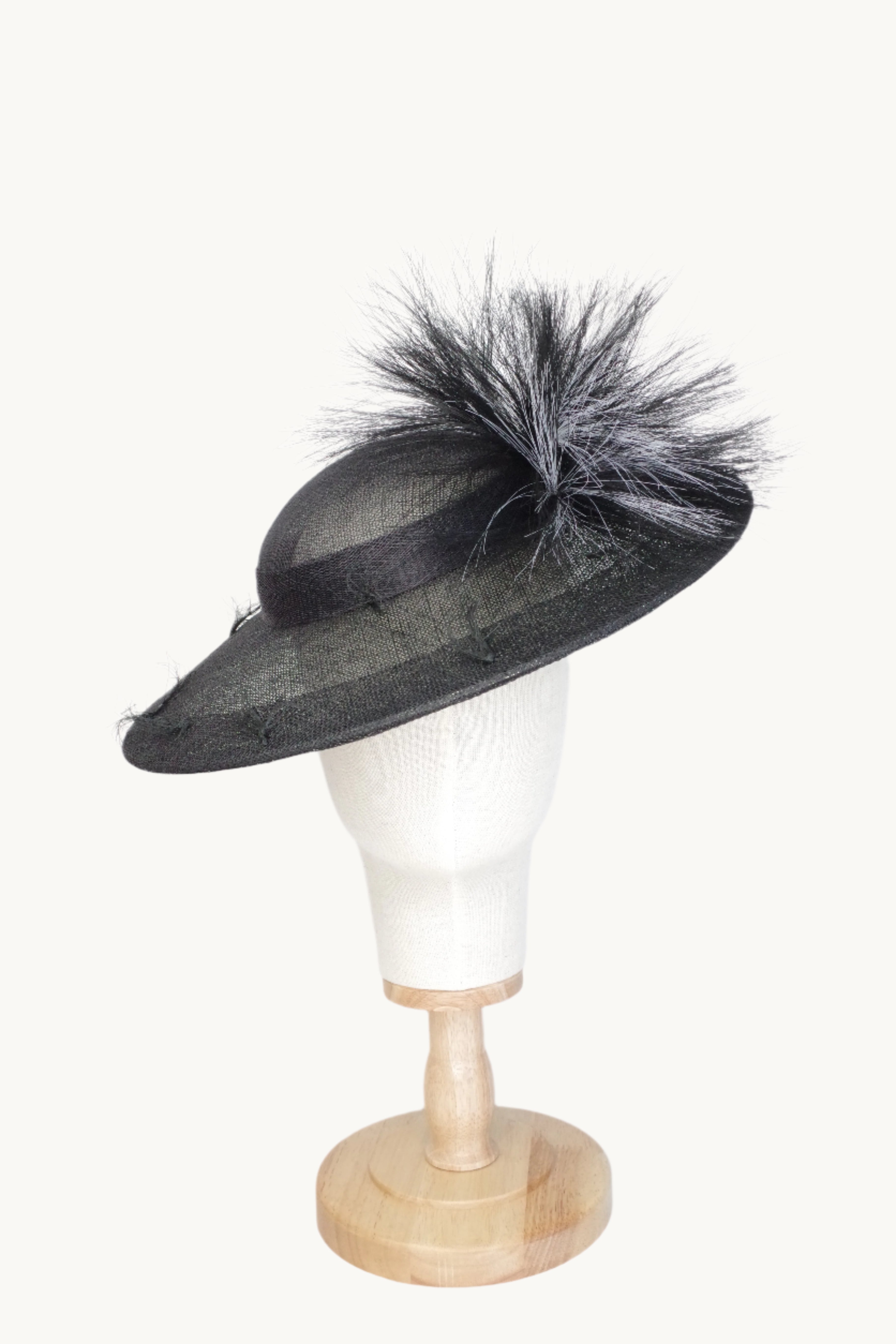 elegant wide brim hat